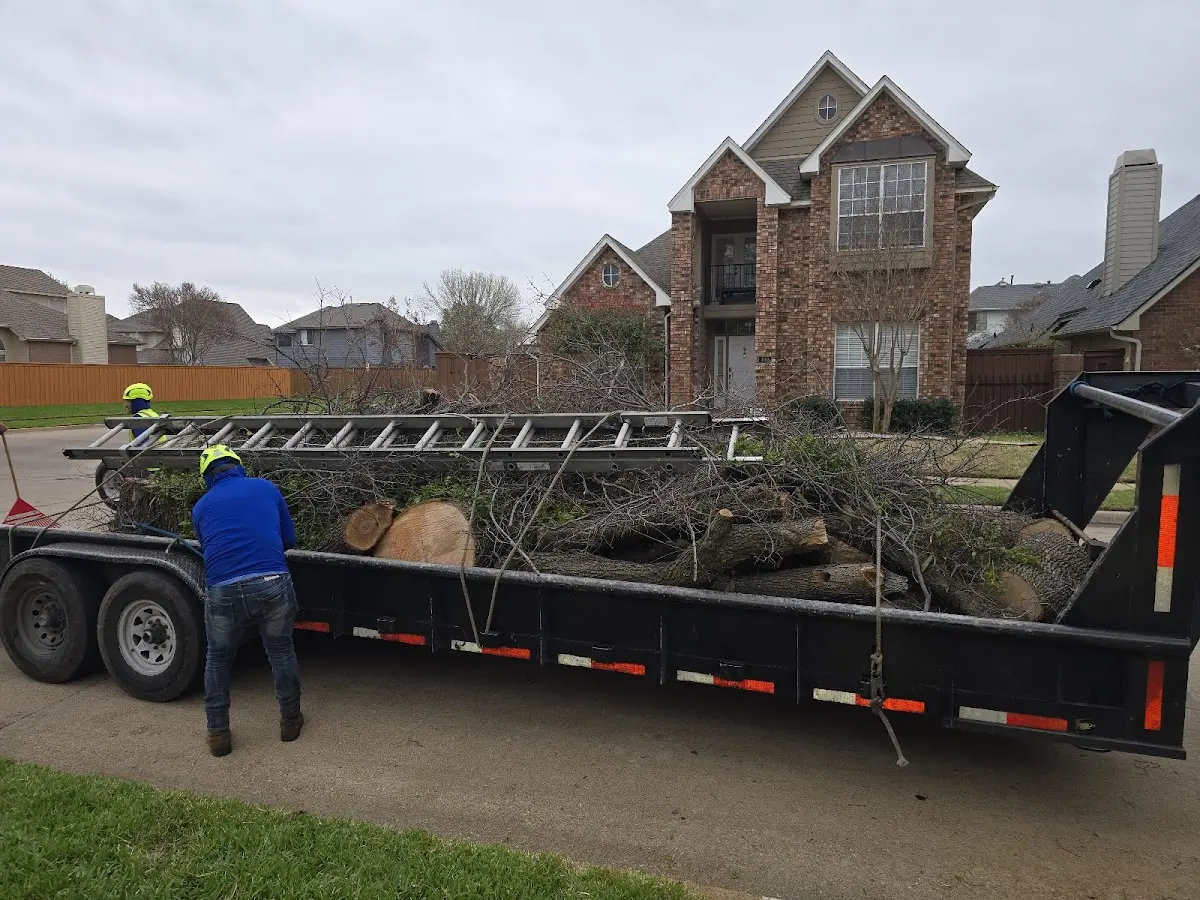 Expert Tree Fertilization with proper safety equipment in Diamond